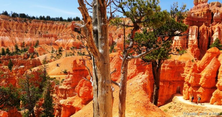 Trail - Bryce Canyon