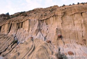 Visiting Theodore Roosevelt National Park