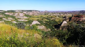 South unit, Theodore Roosevelt NP North Dakota