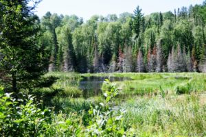 Voyageurs National Park -pond