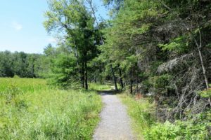 hiking in Voyageurs National Park