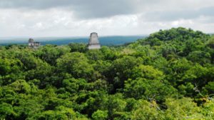 View-from-Temple-IV-Tikal