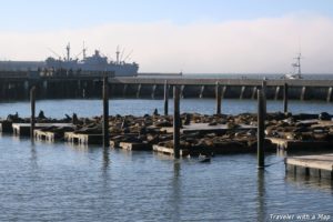 Sea-lions-Fisherman's-Wharf