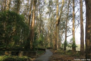 Trail-through-Presidio