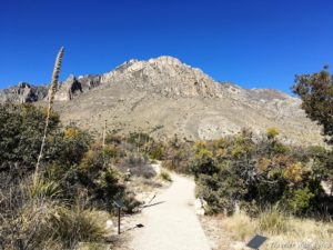 Read more about the article A Quick Visit to Guadalupe Mountains National Park