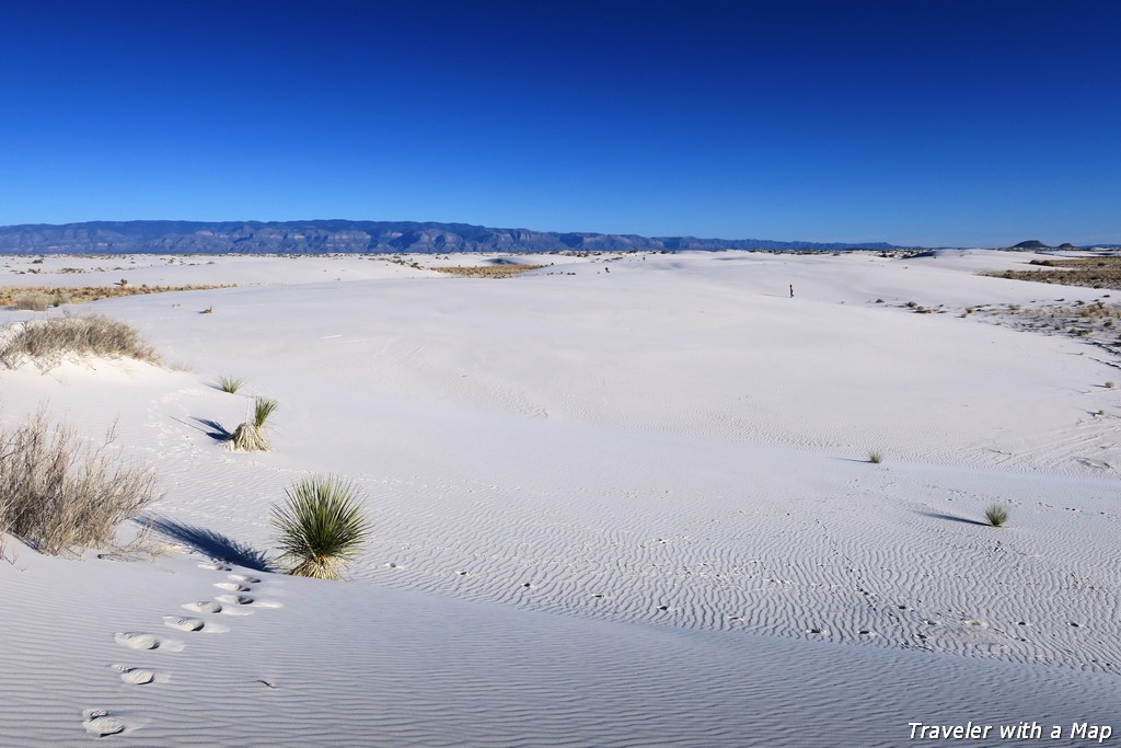 Read more about the article Great Things to Do at White Sands National Park