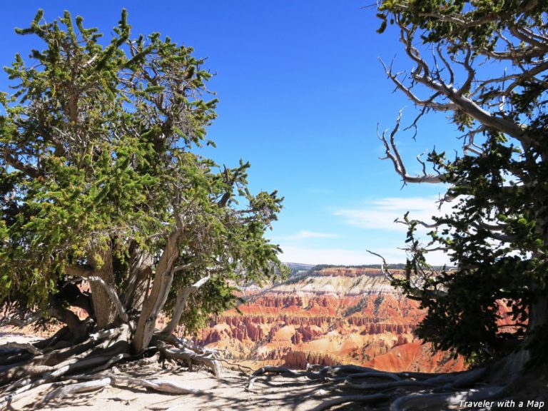 3 picturesque hikes in Cedar Breaks National Monument