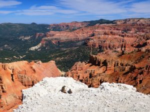 Read more about the article 3 Beautiful Hikes in Cedar Breaks National Monument