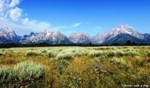 Read more about the article 6 Ideas for a Great Visit to Grand Teton National Park