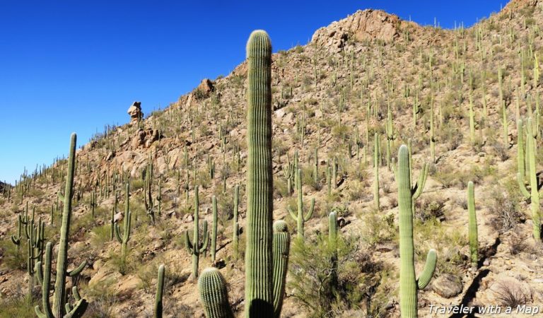 Hugh Norris Trail, Saguaro National Park