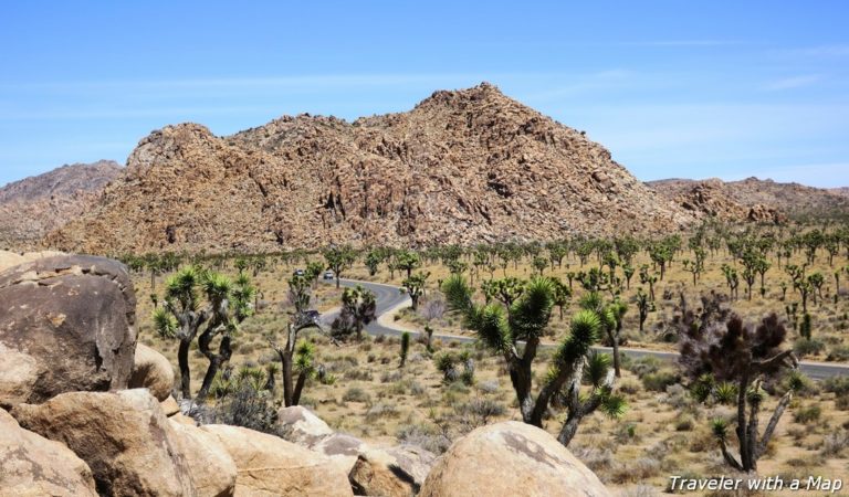 How to spend a memorable day in Joshua Tree National Park