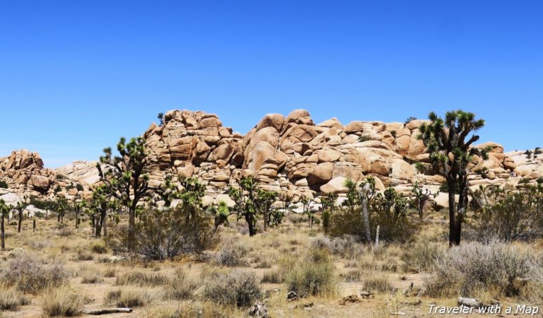 hiking in Josua Tree National Park