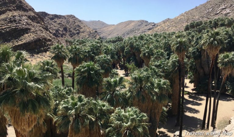 Indian Canyons, Palm Springs