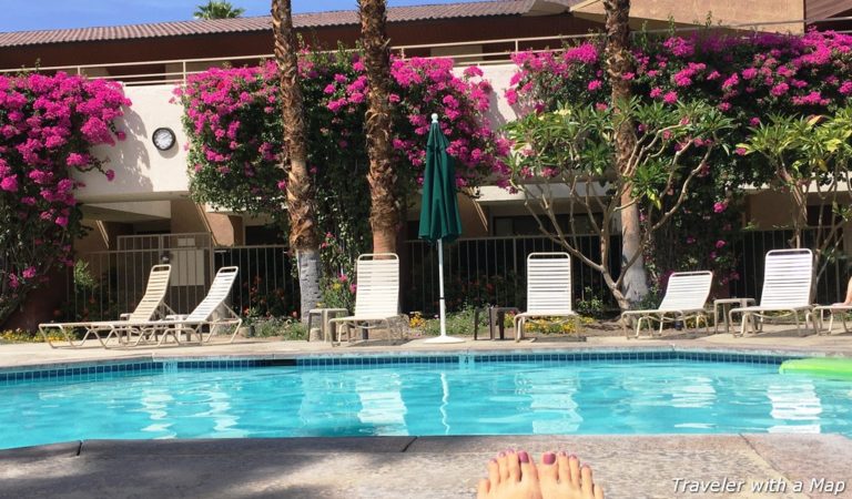 Enjoying the sunshine by the pool, Palm Springs