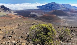 Read more about the article 5 Amazing Things to See at Haleakala National Park