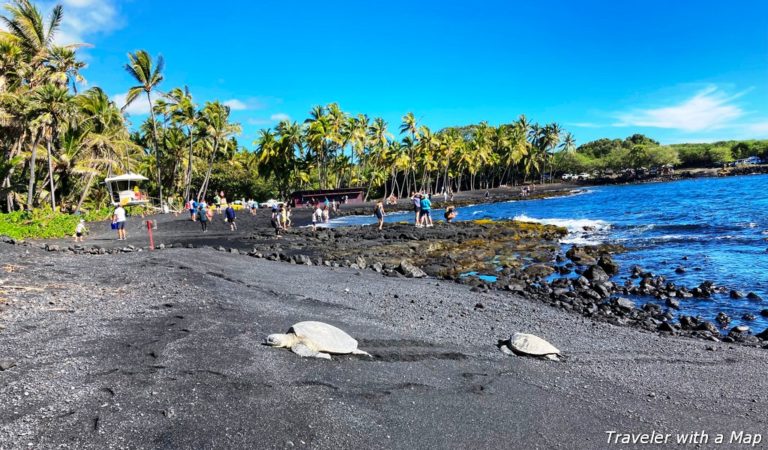 Punalu'u Black Sand Beach