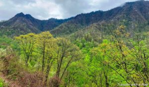 Read more about the article 8 Things to Do in the Great Smoky Mountains National Park