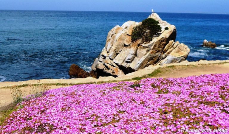 Beautiful colors in Pacific Grove, California