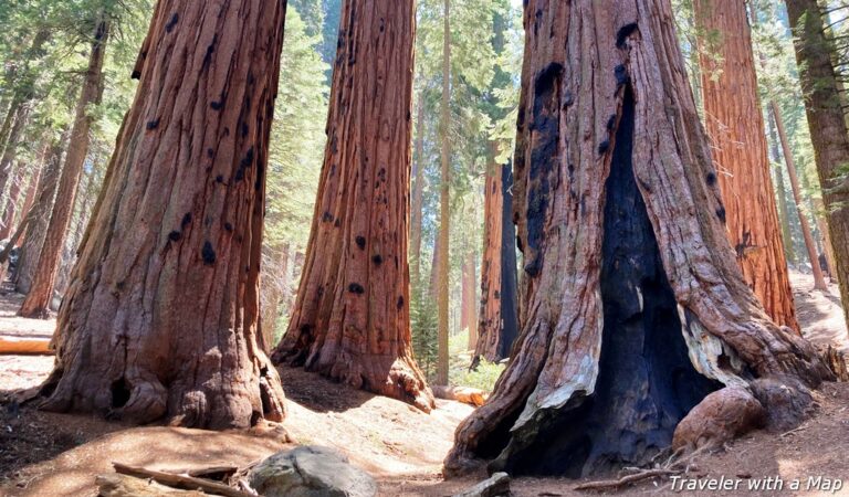 4 amazing hikes to see giant sequoias in California