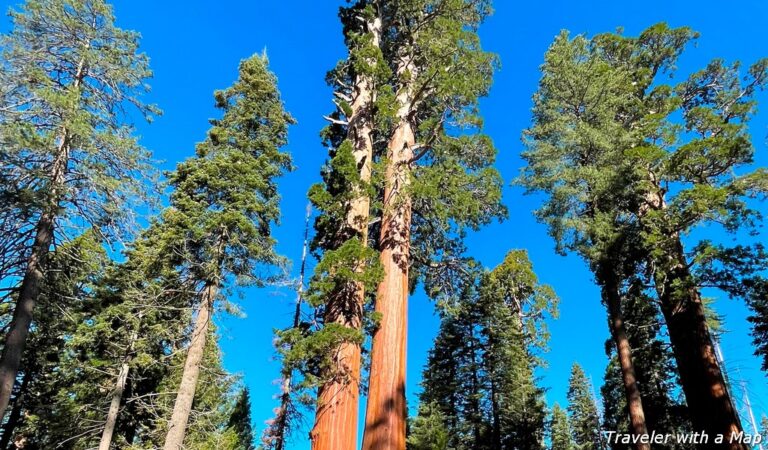 hikes to see giant sequoias Kings Canyon National Park